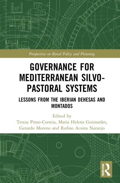 Teresa Pinto-Correia, Maria Helena Guimarães, Gerardo Moreno, Rufino Acosta Naranjo - Governance for Mediterranean Silvopastoral Systems, Inbunden