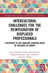 bokomslag Intercultural Challenges for the Reintegration of Displaced Professionals