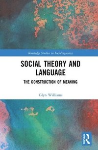 bokomslag Social Theory and Language