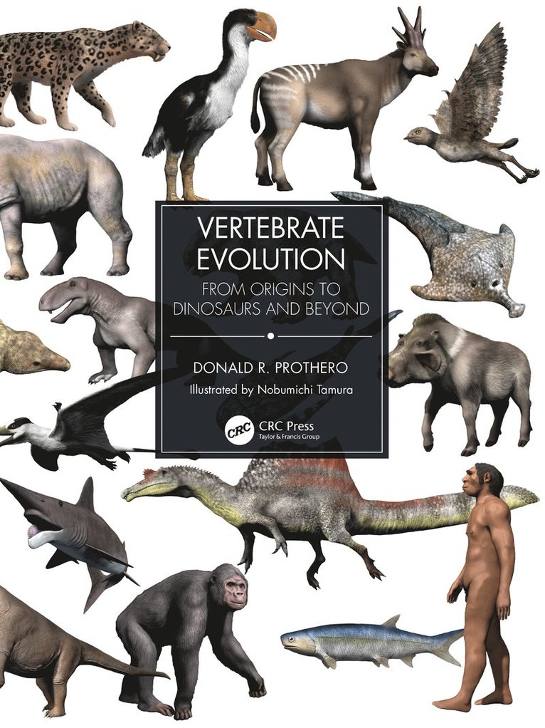 Donald R. Prothero - Vertebrate Evolution, Häftad