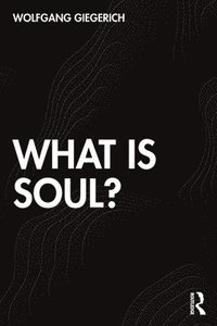 bokomslag What is Soul?
