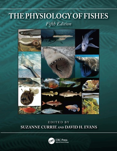 Suzanne Currie, David H. Evans - Physiology of Fishes, Häftad
