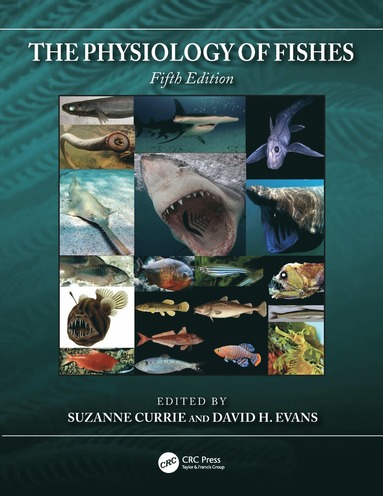 bokomslag Physiology of Fishes