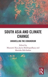 bokomslag South Asia and Climate Change