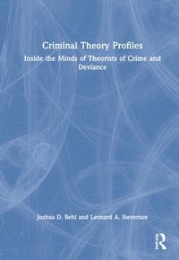 bokomslag Criminal Theory Profiles