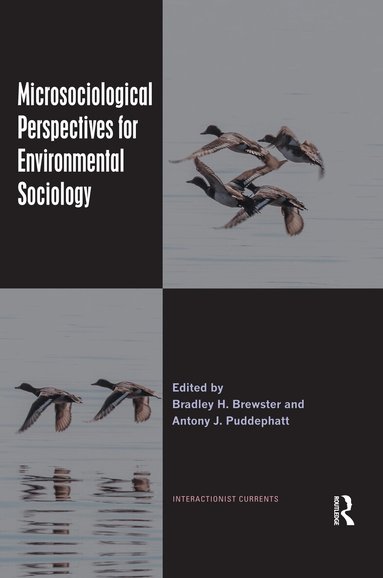 Bradley H. Brewster, Antony J. Puddephatt - Microsociological Perspectives for Environmental Sociology, Häftad