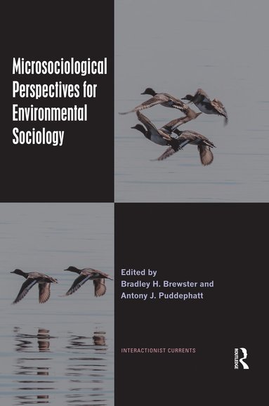 bokomslag Microsociological Perspectives for Environmental Sociology