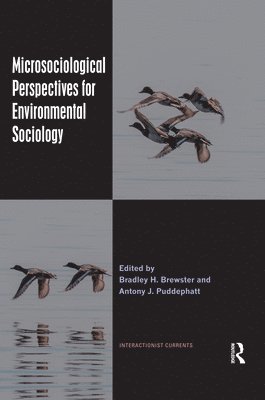 Microsociological Perspectives for Environmental Sociology 1