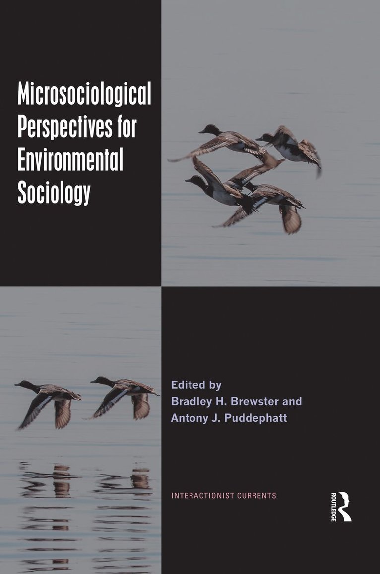 Bradley H. Brewster, Antony J. Puddephatt, USA) Brewster, Bradley H. (Graceland University, Canada) Puddephatt, Antony J. (Lakehead University - Microsociological Perspectives for Environmental Sociology, Häftad