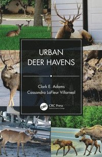 bokomslag Urban Deer Havens