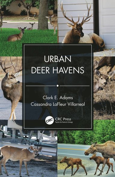 bokomslag Urban Deer Havens