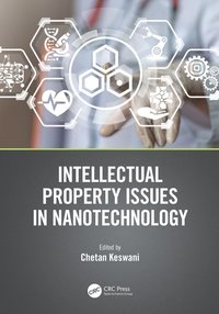 bokomslag Intellectual Property Issues in Nanotechnology