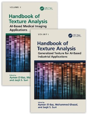 bokomslag Handbook of Texture Analysis, Two-Volume Set
