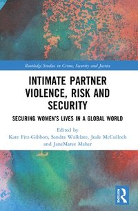 bokomslag Intimate Partner Violence, Risk and Security