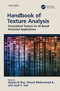 bokomslag Handbook of Texture Analysis