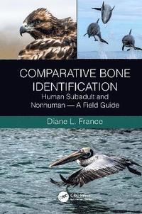 bokomslag Comparative Bone Identification