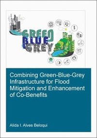 bokomslag Combining Green-Blue-Grey Infrastructure for Flood Mitigation and Enhancement of Co-Benfits