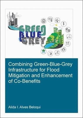 Combining Green-Blue-Grey Infrastructure for Flood Mitigation and Enhancement of Co-Benfits 1