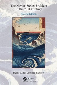 bokomslag Navier-Stokes Problem in the 21st Century