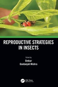 bokomslag Reproductive Strategies in Insects