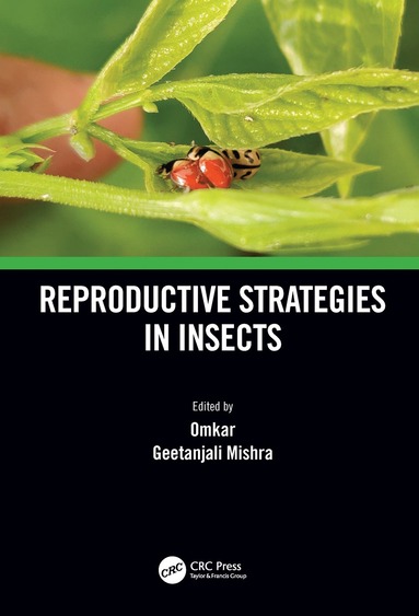 bokomslag Reproductive Strategies in Insects