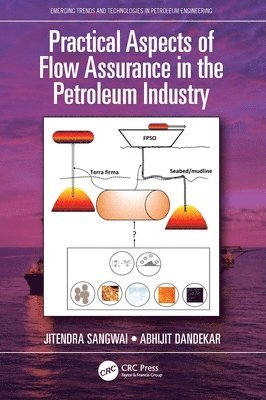 Practical Aspects of Flow Assurance in the Petroleum Industry 1