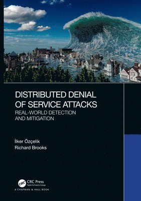Distributed Denial of Service Attacks 1