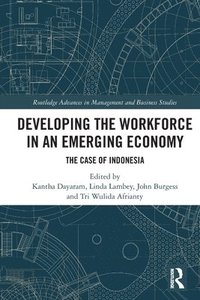 bokomslag Developing the Workforce in an Emerging Economy