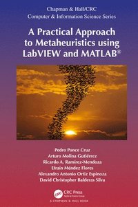 bokomslag A Practical Approach to Metaheuristics using LabVIEW and MATLAB