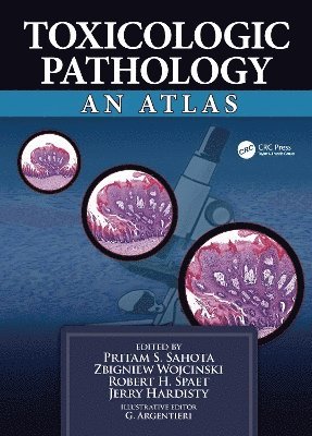 Pritam S. Sahota, Zbigniew W. Wojcinski, Robert H. Spaet, Jerry F. Hardisty, USA) Sahota, Pritam S. (Global ToxPath, LLC, LLC) Wojcinski, Zbigniew W. (Toxicology & Pathology Consulting, USA) Spaet, Robert H. (RSPathologics, LLC, USA) Hardisty, Jerry F. (Experimental Pathology Laboraties, Inc., Research Triangle Park, North Carolina, Jerry Hardisty - Toxicologic Pathology, Inbunden