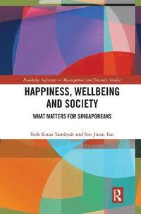 bokomslag Happiness, Wellbeing and Society