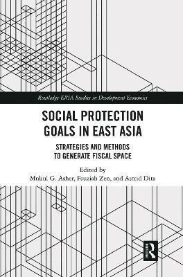 bokomslag Social Protection Goals in East Asia