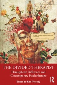 bokomslag The Divided Therapist