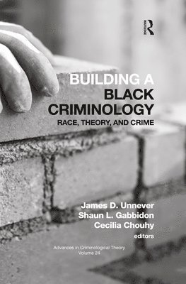 bokomslag Building a Black Criminology, Volume 24