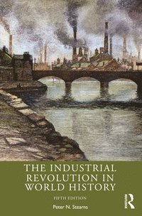 bokomslag The Industrial Revolution in World History