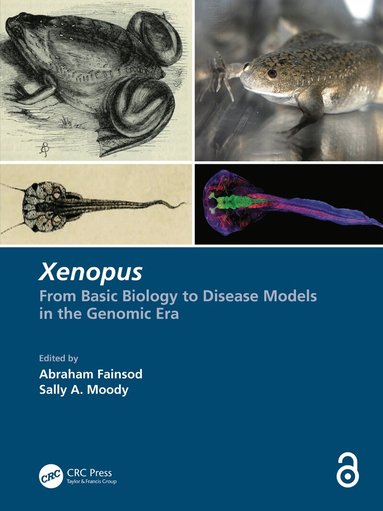 Abraham Fainsod, Sally A. Moody - Xenopus, Inbunden