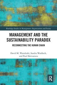 bokomslag Management and the Sustainability Paradox