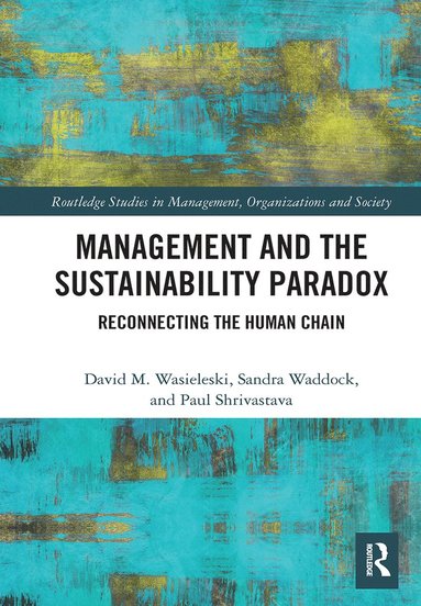 bokomslag Management and the Sustainability Paradox