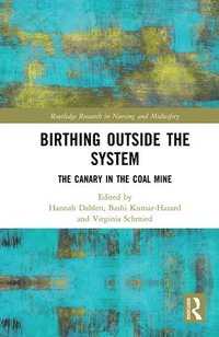 bokomslag Birthing Outside the System