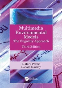 bokomslag Multimedia Environmental Models
