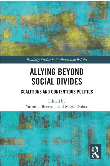 bokomslag Allying beyond Social Divides