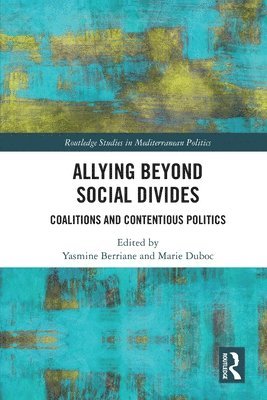 Allying beyond Social Divides 1