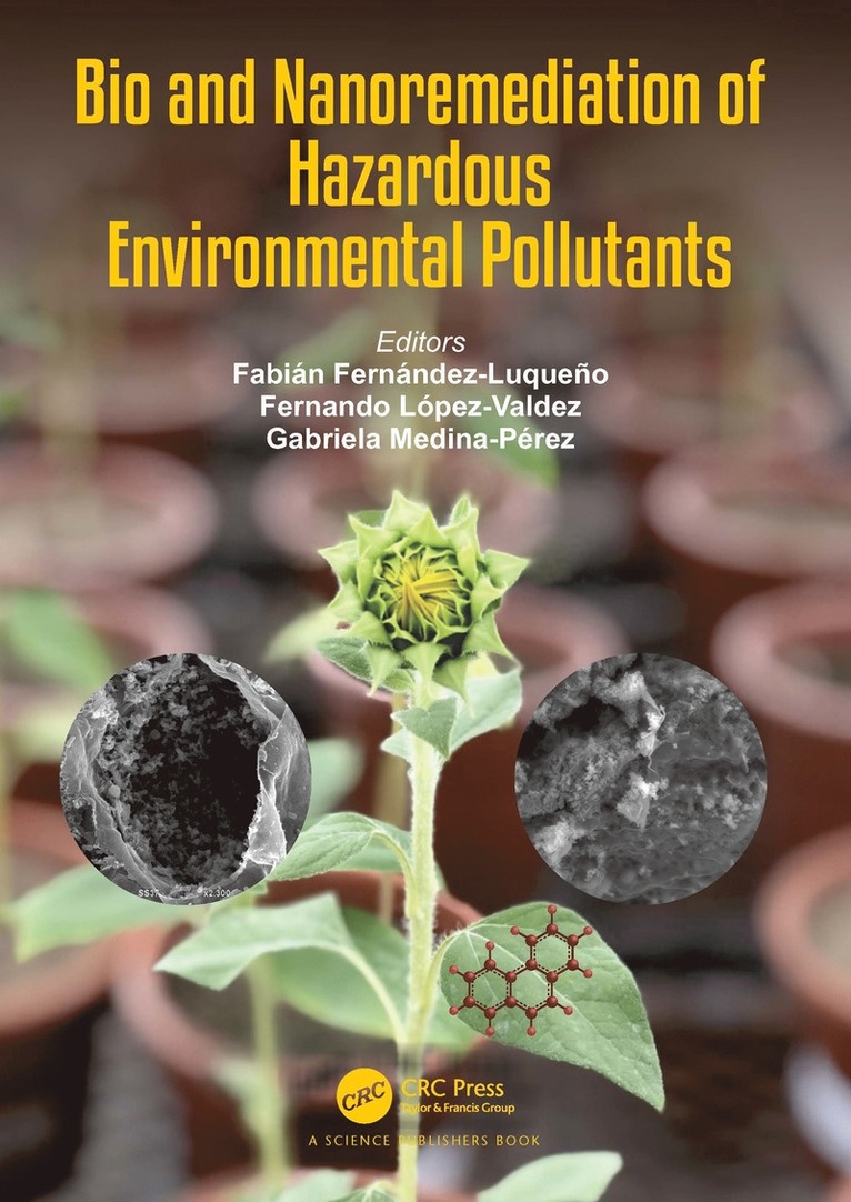 Fabián Fernández Luqueño, Fernando López-Valdez, Gabriela Medina Pérez, Mexico) Luqueno, Fabian Fernandez (Cinvestav, Fernando Lopez-Valdez, Mexico) Perez, Gabriela Medina (Autonomous Uni of Hidalgo State - Bio and Nanoremediation of Hazardous Environmental Pollutants, Inbunden