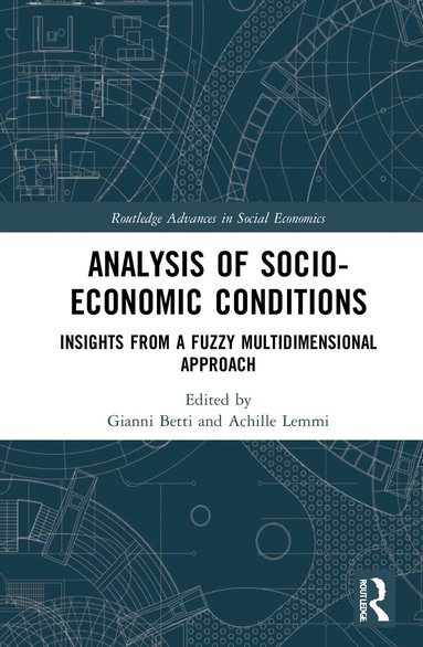 Gianni Betti, Achille Lemmi - Analysis of Socio-Economic Conditions, Häftad