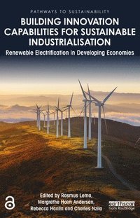 bokomslag Building Innovation Capabilities for Sustainable Industrialisation
