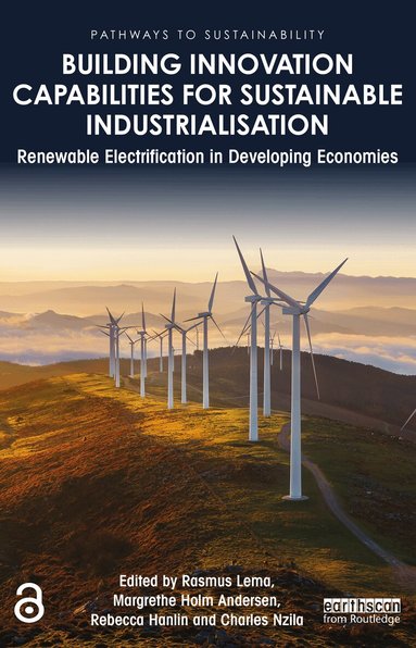 Rasmus Lema, Margrethe Holm Andersen, Rebecca Hanlin, Charles Nzila - Building Innovation Capabilities for Sustainable Industrialisation, Häftad