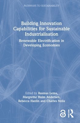 Rasmus Lema, Margrethe Holm Andersen, Rebecca Hanlin, Charles Nzila - Building Innovation Capabilities for Sustainable Industrialisation, Inbunden