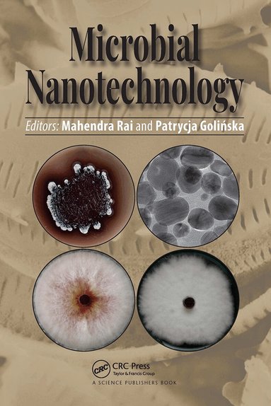 Mahendra Rai, Patrycja Golińska - Microbial Nanotechnology, Häftad