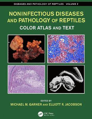 Noninfectious Diseases and Pathology of Reptiles 1