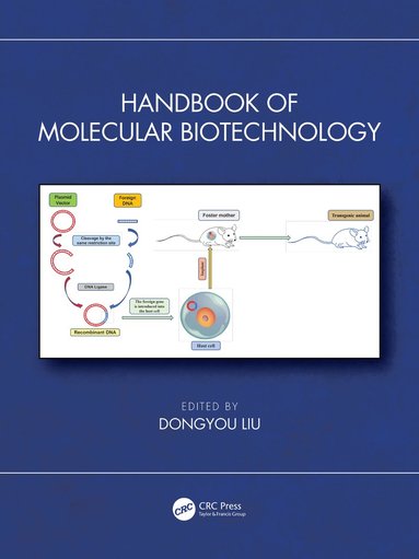 bokomslag Handbook of Molecular Biotechnology